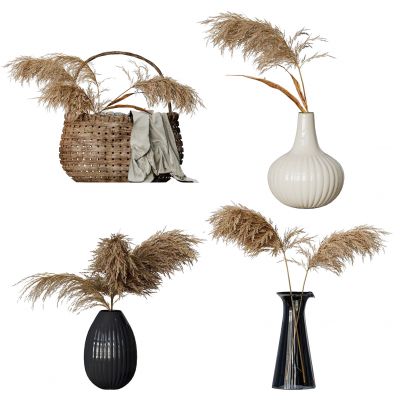 干枝装饰品组合