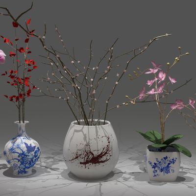  植物，盆栽，花瓶花卉