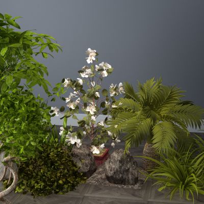  植物，灌木，草丛，花草3D模型