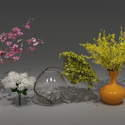  植物，盆栽，花瓶花卉