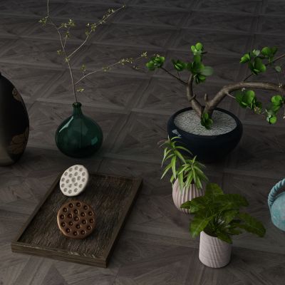  植物，盆栽，花瓶花卉