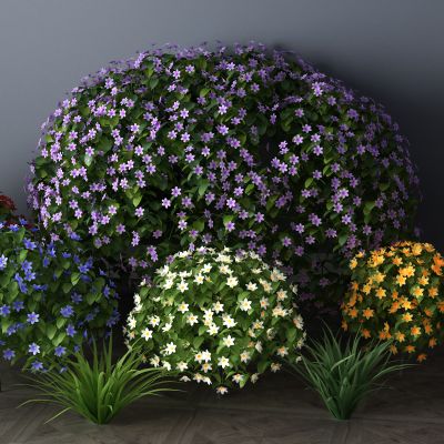  植物，灌木，草丛，花草3D模型