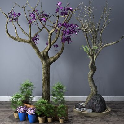 植物，小品，景观，假山