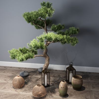 植物，小品，景观，假山