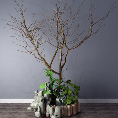 植物，小品，景观，假山