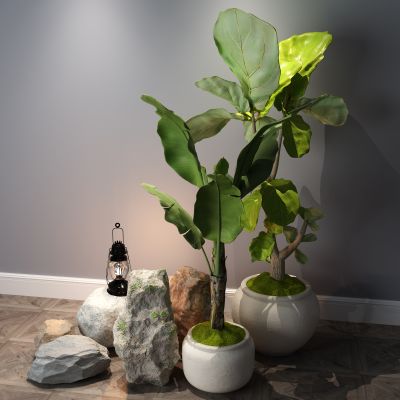 植物，小品，景观，假山