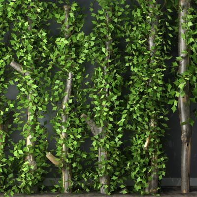 植物，小品，景观，假山