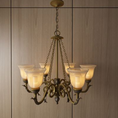 灯具，吊灯，客餐厅吊灯，吸顶式吊灯，装饰灯