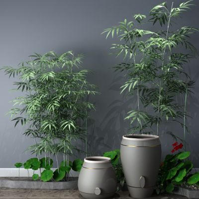 植物，小品，假山，喷泉