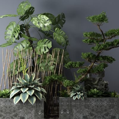 植物，小品，假山，喷泉