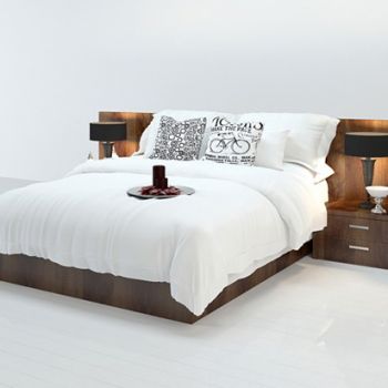 现代简约双人床、床头柜