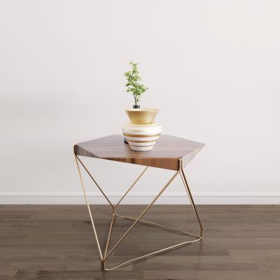 现代边几盆栽组