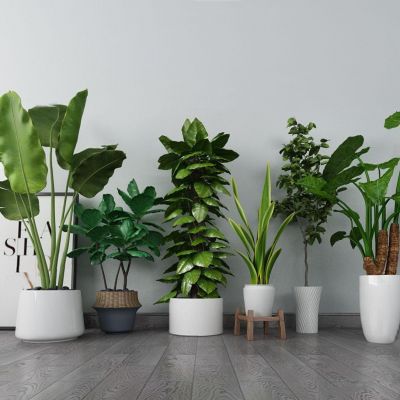 北欧简约室内盆景组合