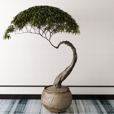 新中式松柏盆栽