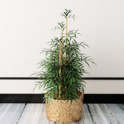 新中式竹子盆栽