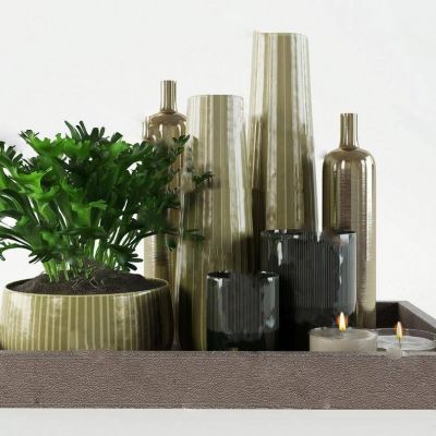 绿色植物、瓷器摆件组合