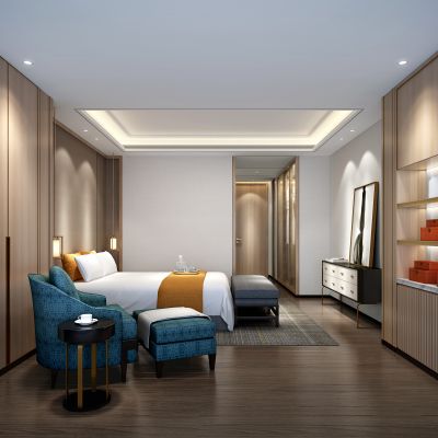 现代宾馆套房 