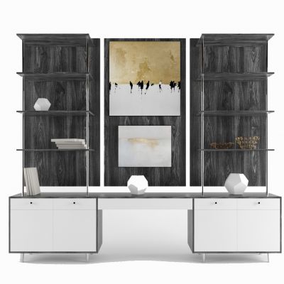 现代简约电视柜、置物柜组合