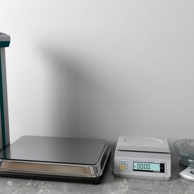 电子秤