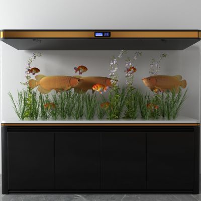 鱼缸，水族箱，金龙鱼