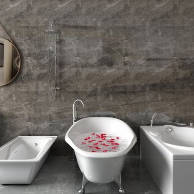 镜子，马桶，浴缸，花洒