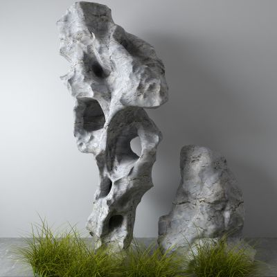 太湖石，石头，草