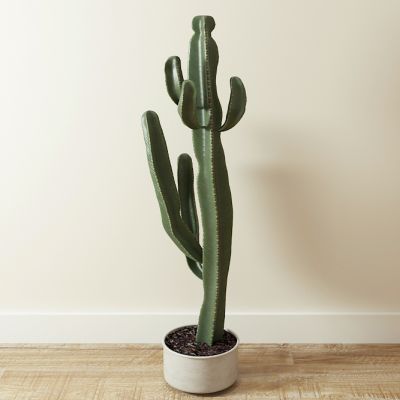 北欧仙人掌盆栽