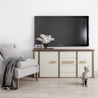 北欧实木电视柜单人沙发组合