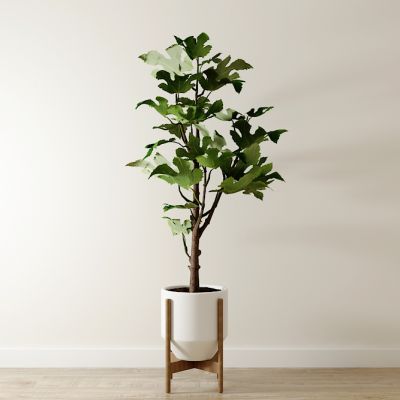 北欧室内植物盆栽