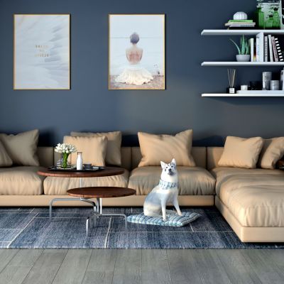 现代沙发茶几组合