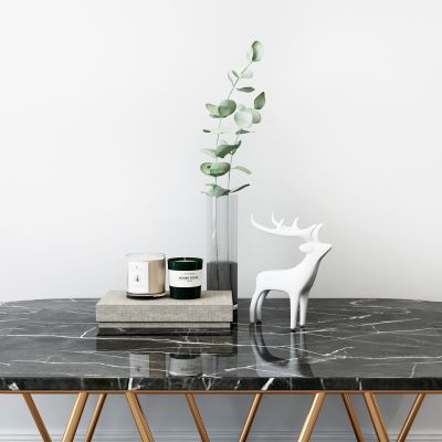 现代植物摆件组合