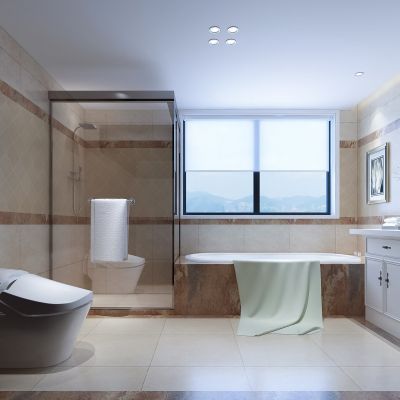 现代卫生间   马桶  化妆台 浴缸 镜子 玻璃隔断  挂画