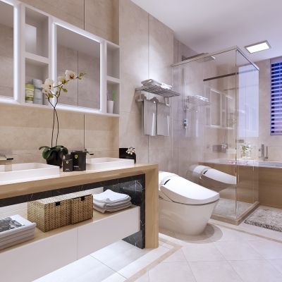 现代卫生间   洗手台  镜子  摆件  马桶  浴缸  玻璃隔断 