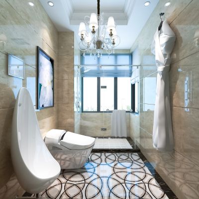 欧式简约卫生间    淋浴  马桶  便池  吊灯  浴袍 