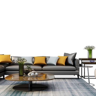 现代沙发茶几组合