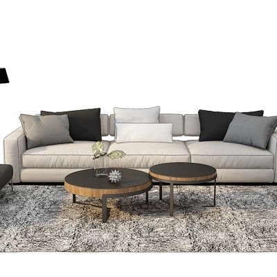 现代沙发茶几组合