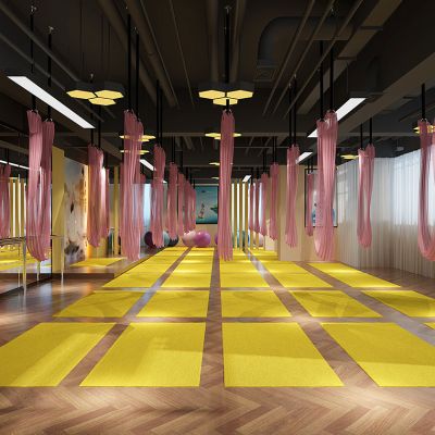 女子健身会所瑜伽体操教室
