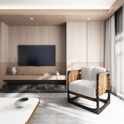 现代单人沙发电视柜组合