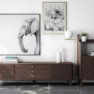 现代电视柜组合