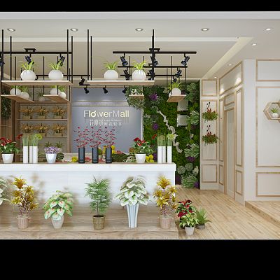 鲜花店植物盆栽花盆花架