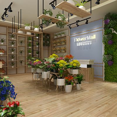 鲜花店植物盆栽花盆花架