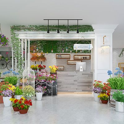 鲜花店植物盆栽花盆花架