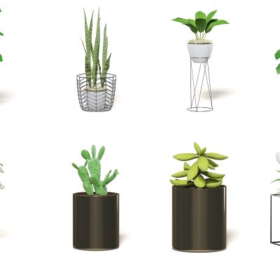 现代室内盆栽植物3D模型