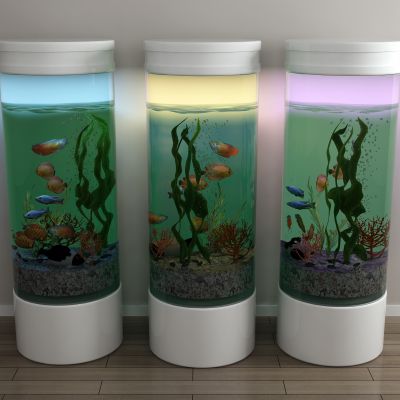 现代鱼缸水族箱