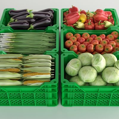 现代蔬菜篮子