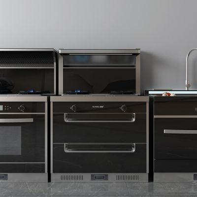 现代集成灶燃气灶