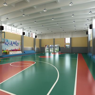 现代室内篮球场