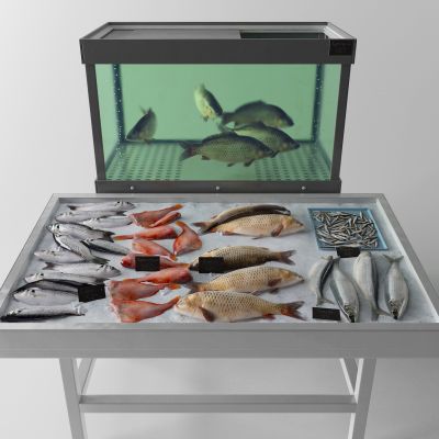 现代货架 养鱼池 鱼