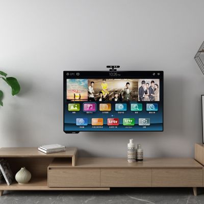 北欧电视柜 电视机 盆栽