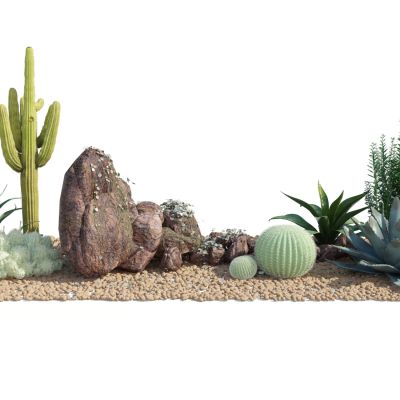 热带植物，热带植物组合，热带灌木，石头，鹅卵石，园林景观，景观搭配